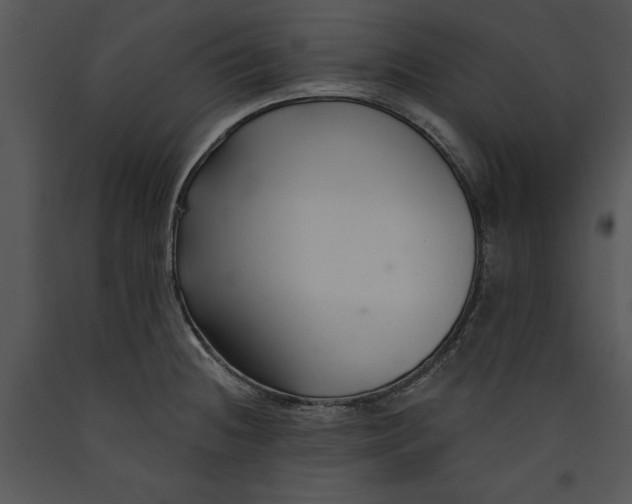 X0000089661236200707191641