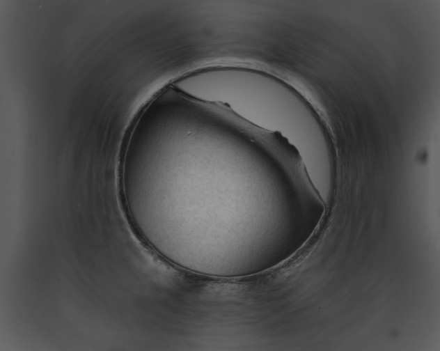 X0000089661237200707191641