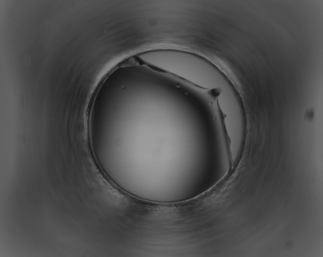 X0000089661238200707191641