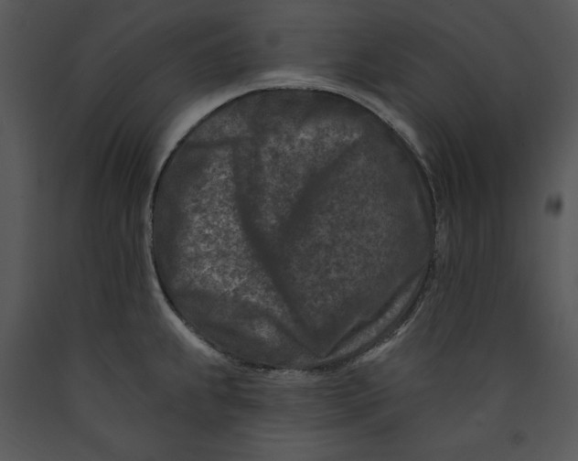 X0000089661239200707191641