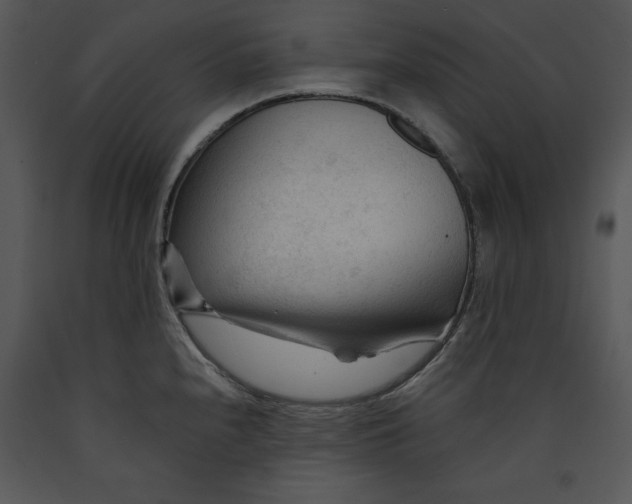 X0000089661240200707191641
