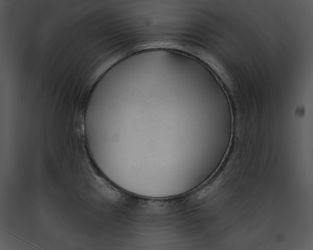 X0000089661241200707191641