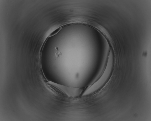 X0000089661242200707191641