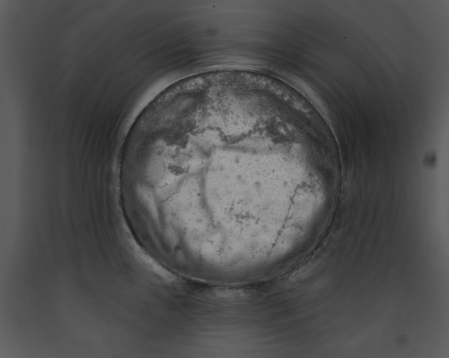 X0000089661243200707191641