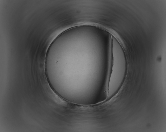 X0000089661244200707191641
