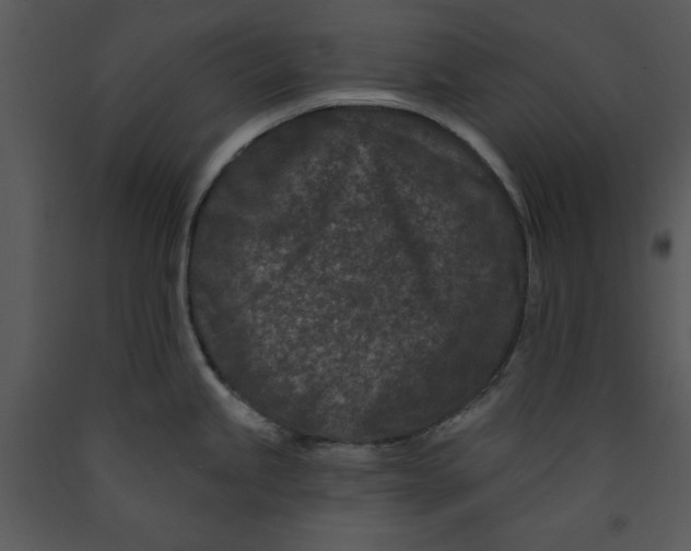 X0000089661245200707191641
