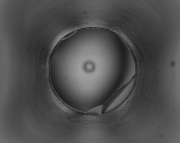 X0000089661246200707191641