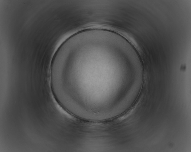 X0000089661247200707191641