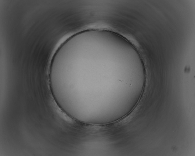 X0000089661248200707191641