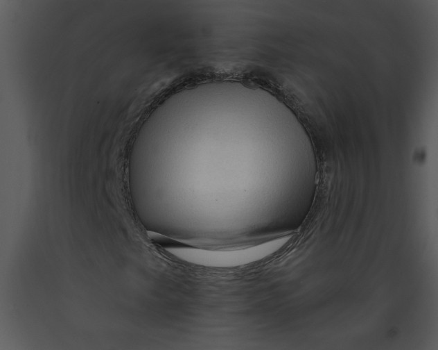 X0000089661249200707191641