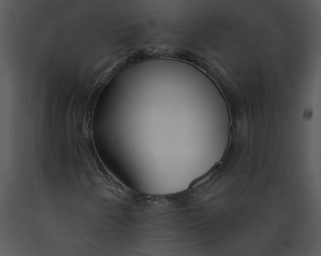 X0000089661250200707191641
