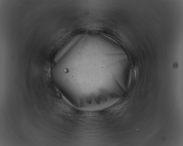 X0000089661251200707191641