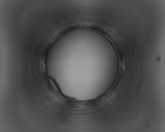 X0000089661252200707191641