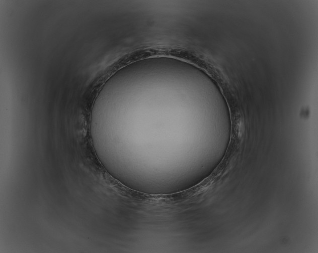 X0000089661253200707191640