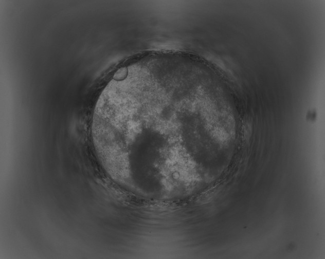X0000089661254200707191640