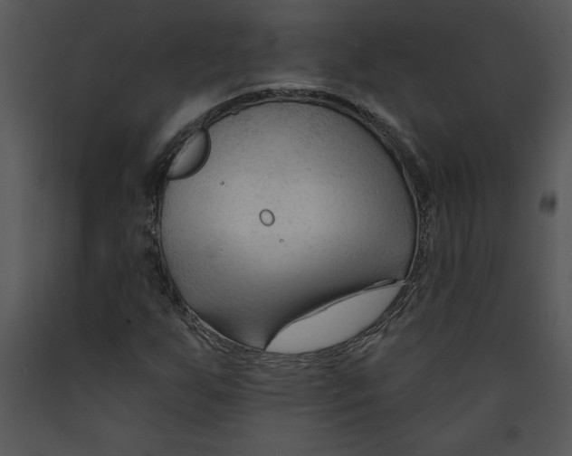 X0000089661255200707191640