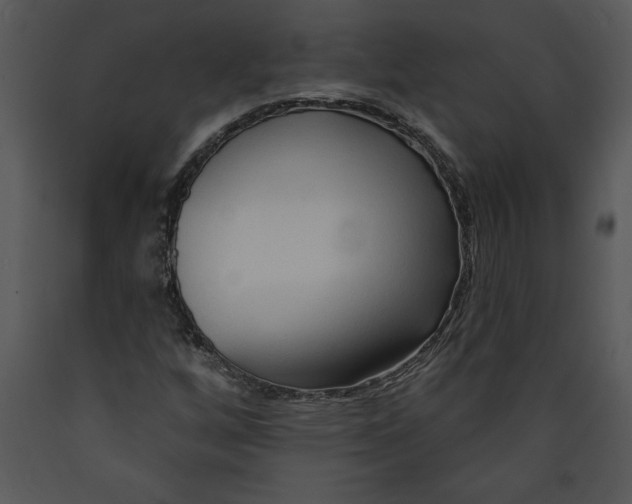 X0000089661256200707191640