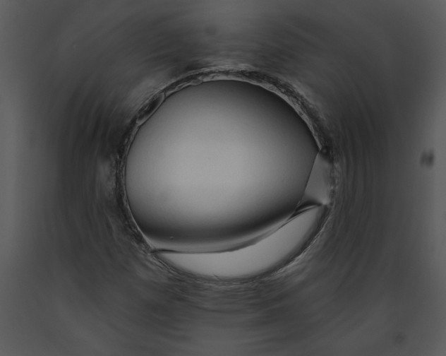 X0000089661257200707191640
