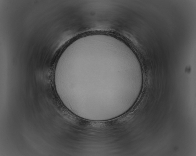 X0000089661258200707191640