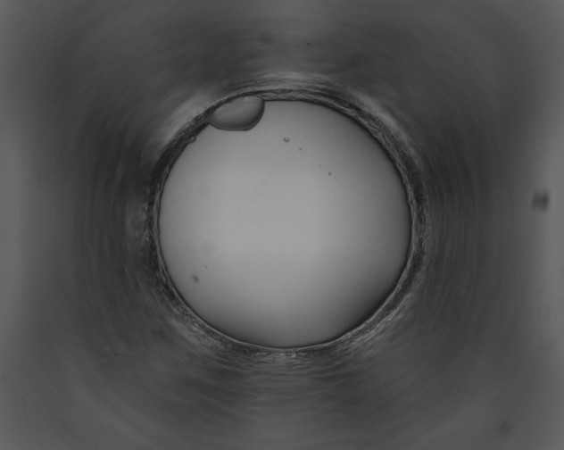 X0000089661259200707191640