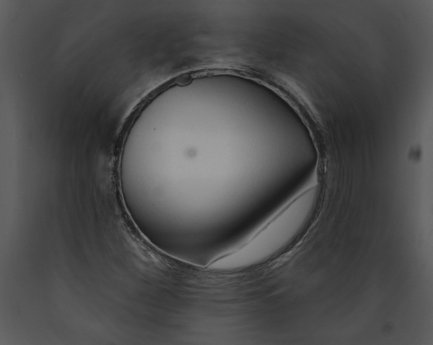 X0000089661260200707191640