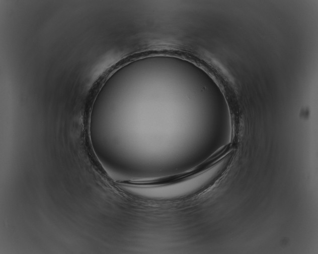 X0000089661261200707191640