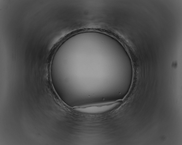 X0000089661262200707191640