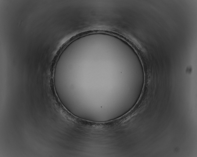 X0000089661264200707191640