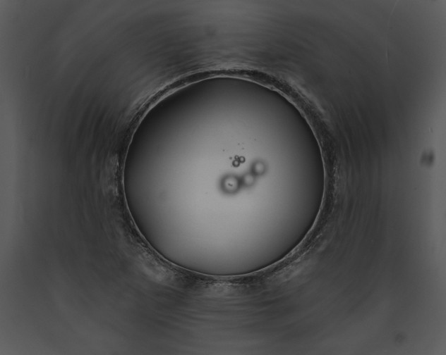 X0000089661265200707191640