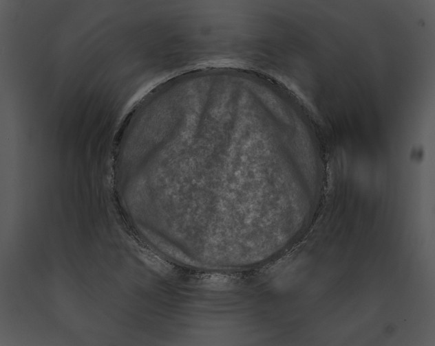 X0000089661266200707191640