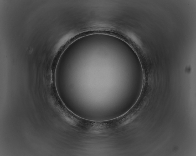 X0000089661267200707191640