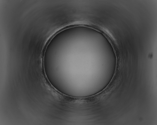X0000089661268200707191640