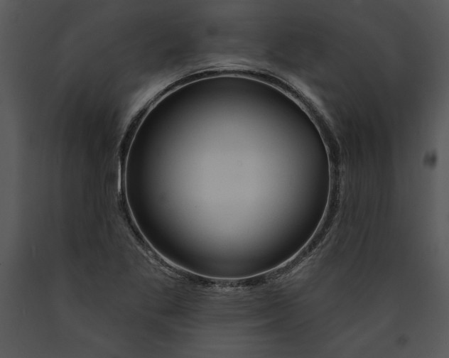 X0000089661269200707191640