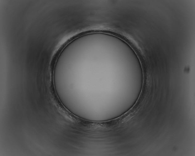 X0000089661270200707191640