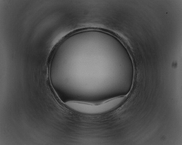 X0000089661271200707191640
