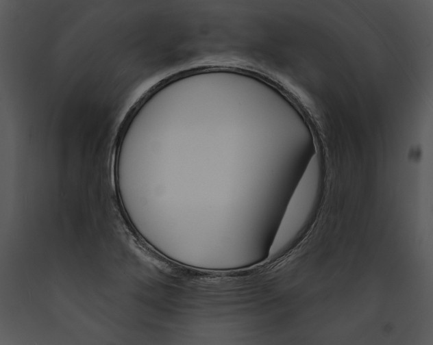 X0000089661272200707191640