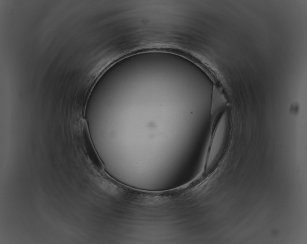 X0000089661273200707191640