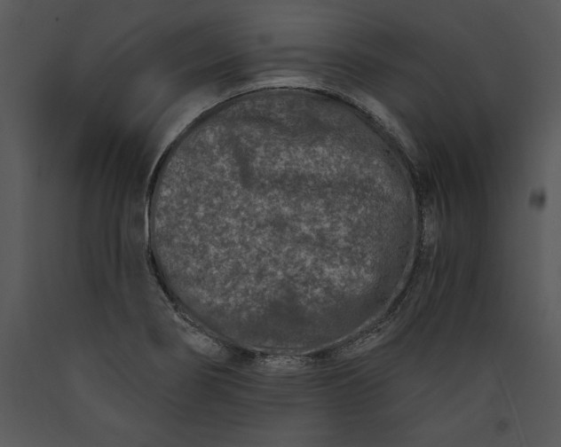 X0000089661274200707191640