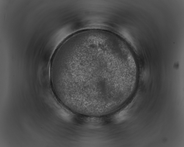 X0000089661275200707191640