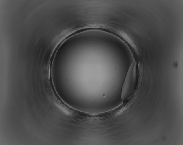 X0000089661276200707191640