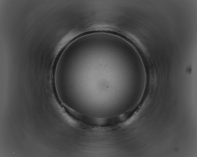 X0000089661277200707191640