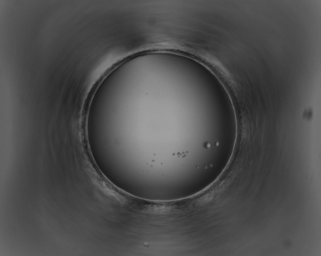 X0000089661278200707191640
