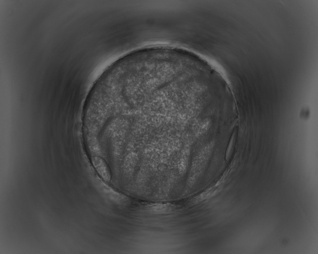 X0000089661279200707191640