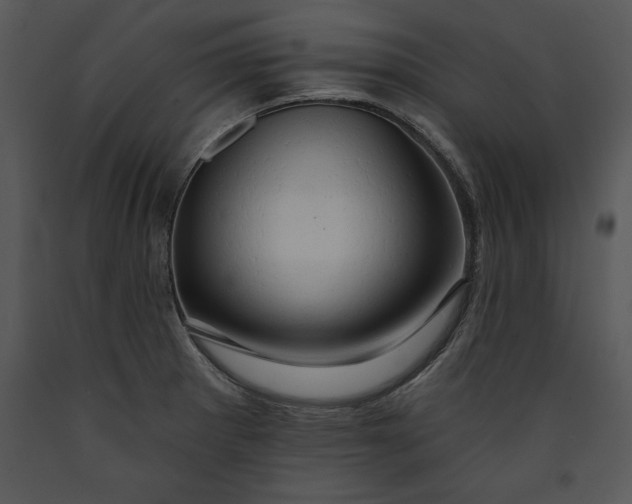 X0000089661281200707191640