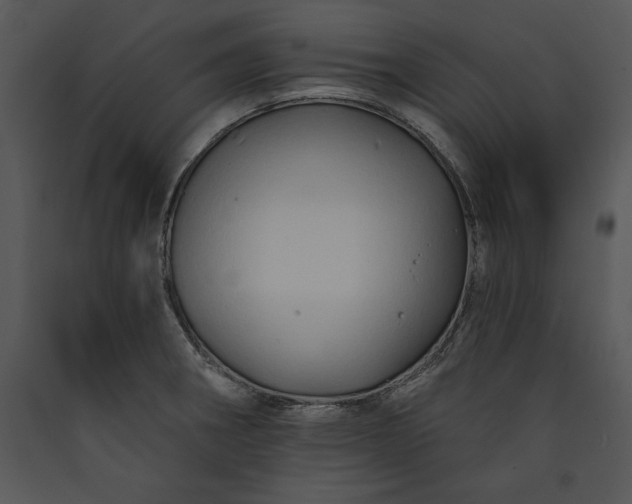 X0000089661282200707191640