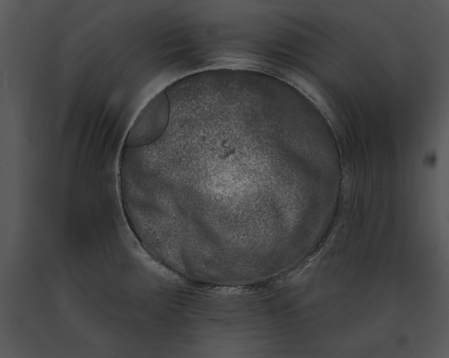 X0000089661283200707191640