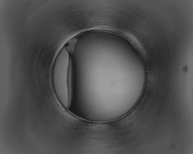 X0000089661284200707191640