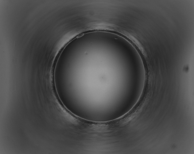 X0000089661285200707191640