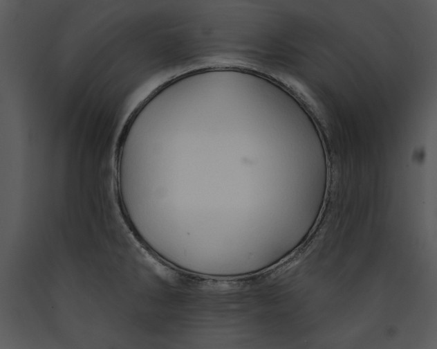 X0000089661286200707191640