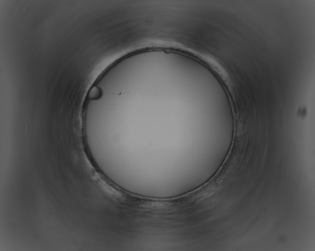 X0000089661287200707191640